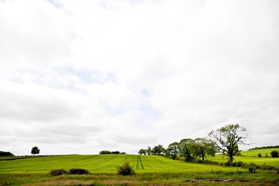 Bamflatt Farm Bed & Breakfast Strathaven Værelse billede